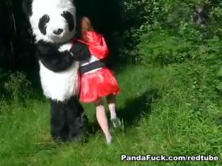 אדום ברכיבה מכסה מנוע מזוין על ידי panda