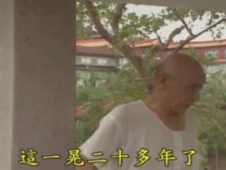 Classis 台湾 魅力的な drama- coldness lying(1995)