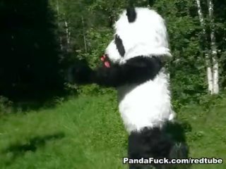 লাল বাইক চালানো ফণা হার্ডকোর দ্বারা panda